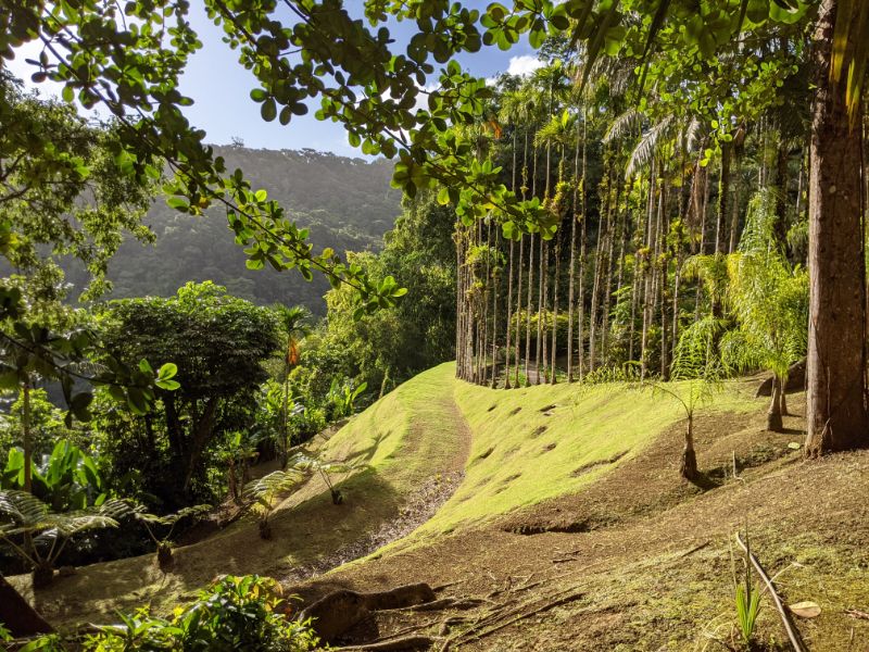 MARTINIQUE