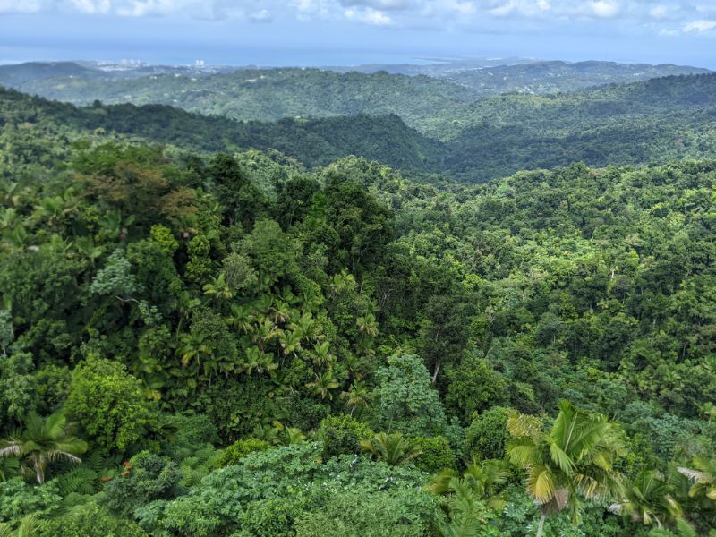 PUERTO RICO